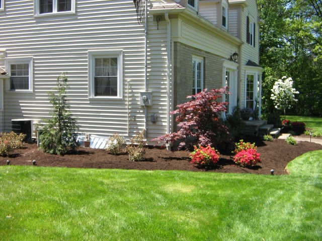 Lawn/Bed Maintenance, Plant Installation